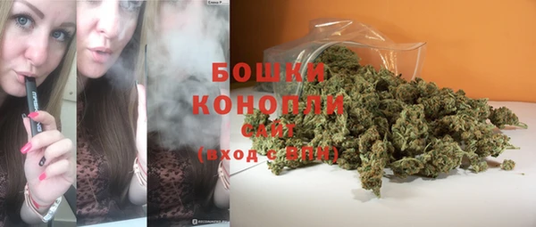 прущие грибы Навашино