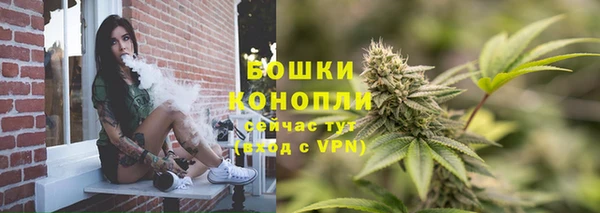 гидра Приозерск