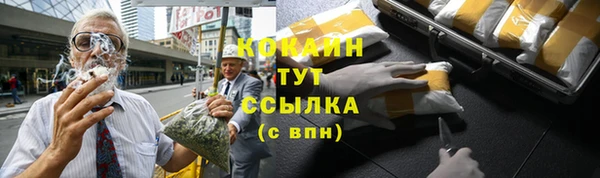 гидра Пролетарск