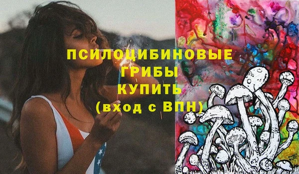 гидра Пролетарск