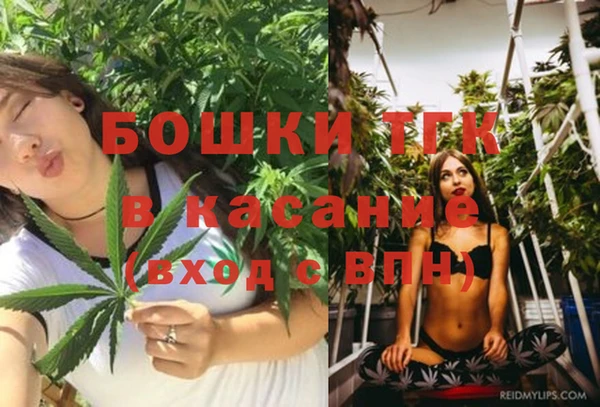 гидра Приозерск