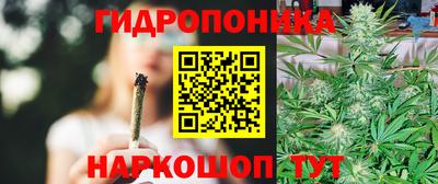 ECSTASY Канаш